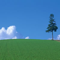 �����ƈ�{��