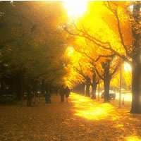 �C�`���E�̕��ؓ�