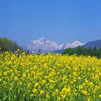 ����炩�Ȍߌ�