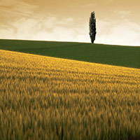 �����̑���